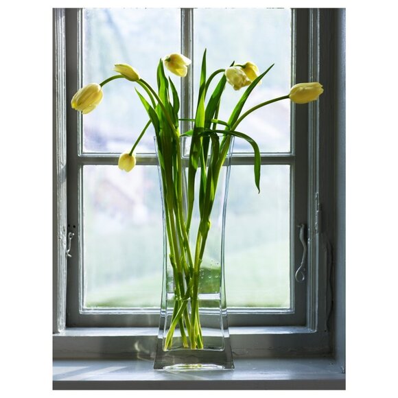 2 Ikea Rektangel Glass Vases 45 cm Tall (17 7/8 in) - Picture 2 of 2